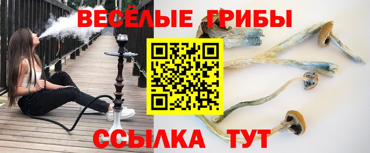 Псилоцибиновые грибы MAGIC MUSHROOMS  Вход с VPN  Сибай 